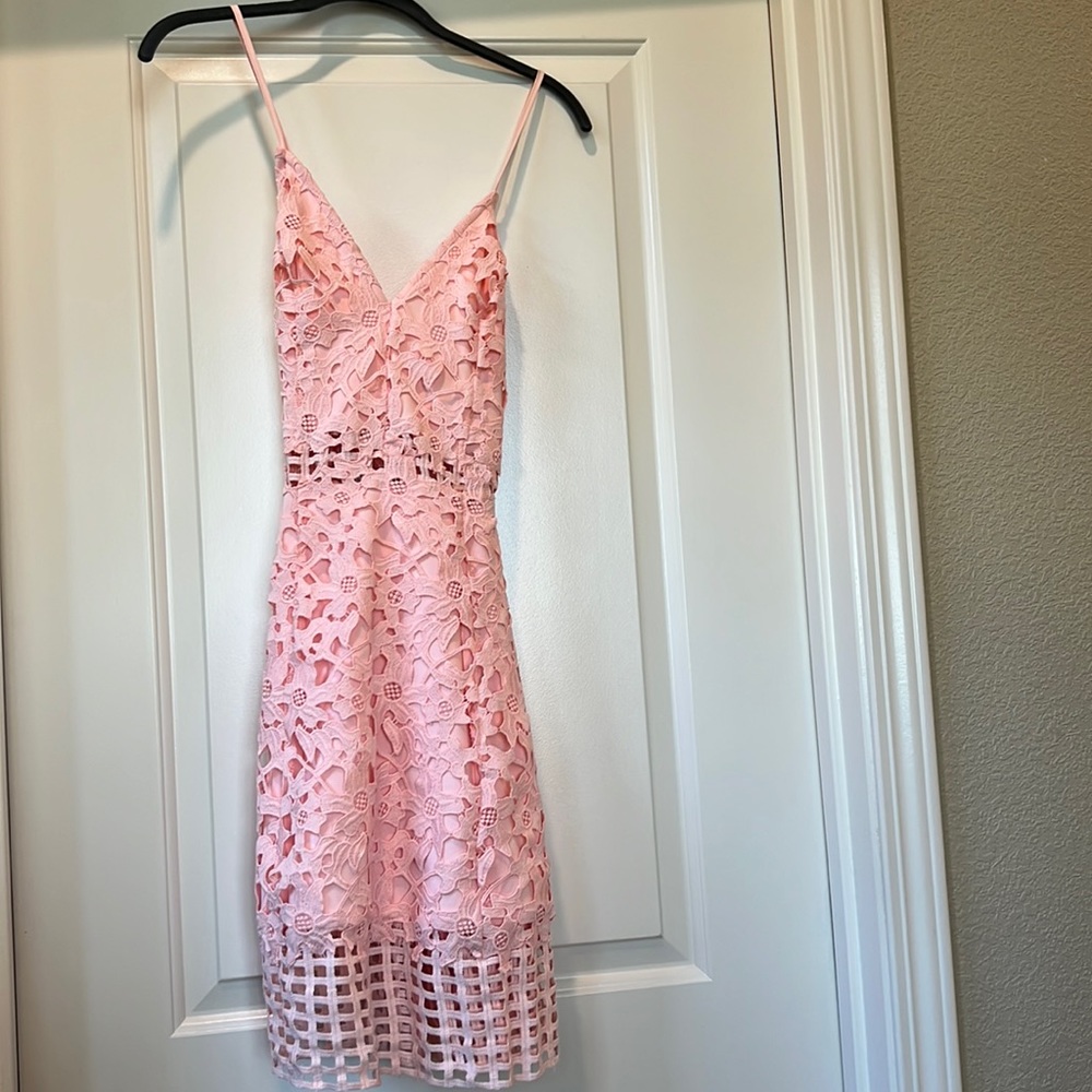 Pink Lovers+Friends Dress